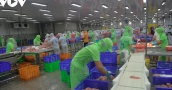 Vietnamese Tra fish exports: Could the US overtake China?