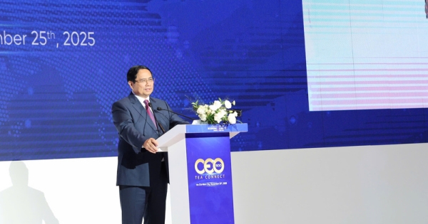 Ho Chi Minh City strives to become int’l mega-city in digital era