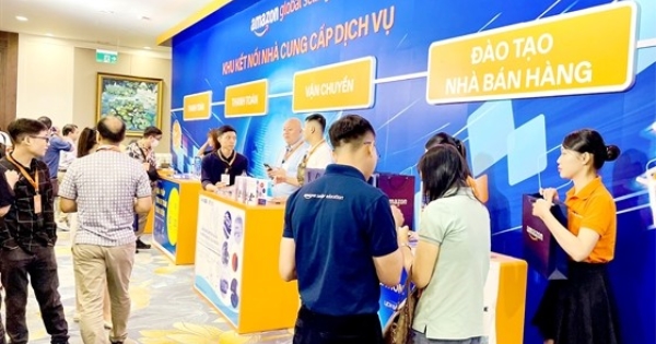 Vietnamese businesses struggle to sell profitably on Amazon