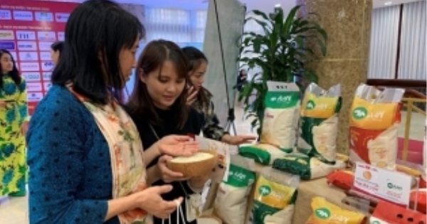 Branding crucial for trade in rice with the UK