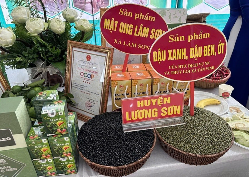 Many OCOP products from Hoa Binh have been introduced in potential markets such as China, Japan, France, Hungary, and Germany.