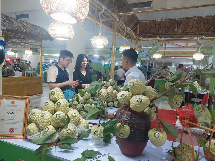 Under the National Target Program, the province introduced policies to boost local specialties, from trade promotion and OCOP sales points to commune-level e-commerce plans