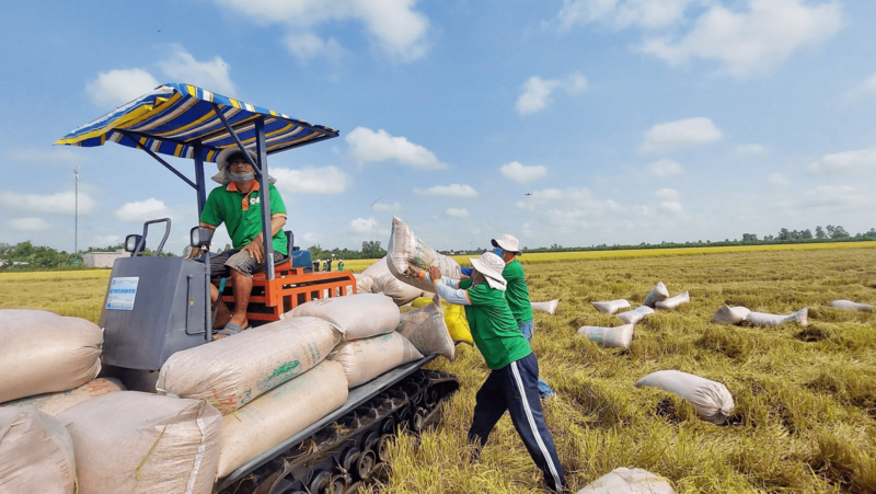 Vietnamese export enterprises take advantage of the opportunity to boost exports of food, consumer goods and construction materials... to Israel. Photo: Viet Cuong