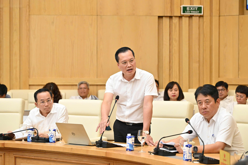 Representative of the consulting unit presents the report.