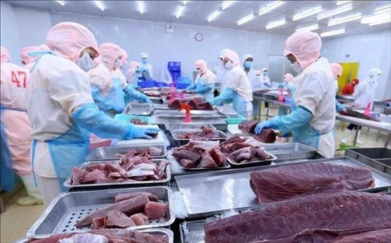 Many processed agricultural products, seafood, household goods and high value-added products have not yet fully exploited their potential in Germany.