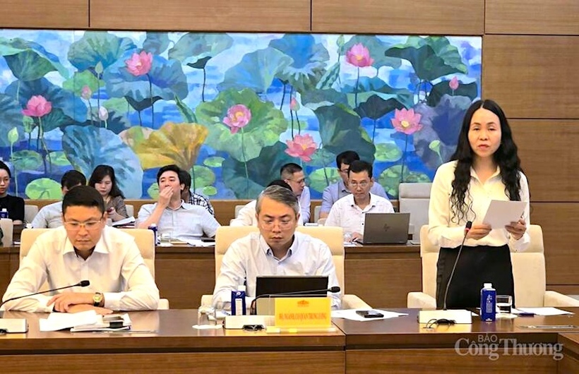 Ms. Le Hoang Oanh - Director of the Department of E-commerce and Digital Economy spoke.