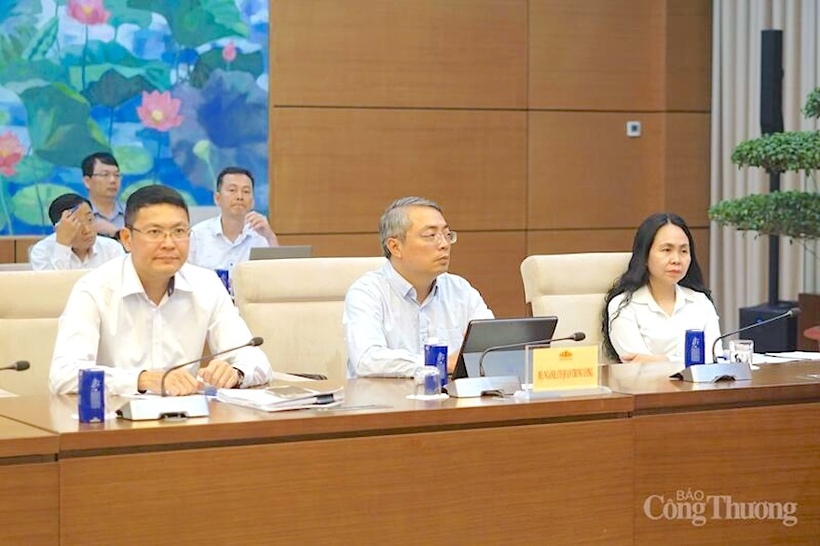 Representative of the Drafting Committee of the Law Project.