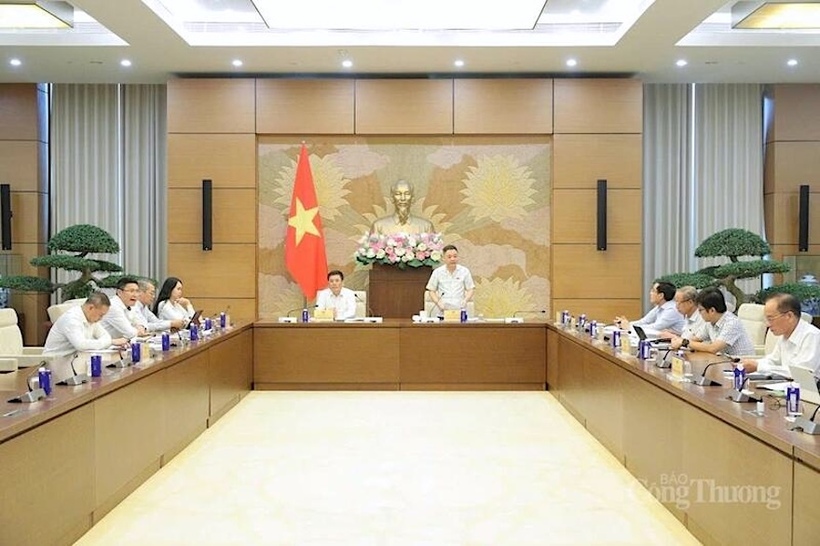 Overview of the preliminary review session of the draft Law on E-commerce.