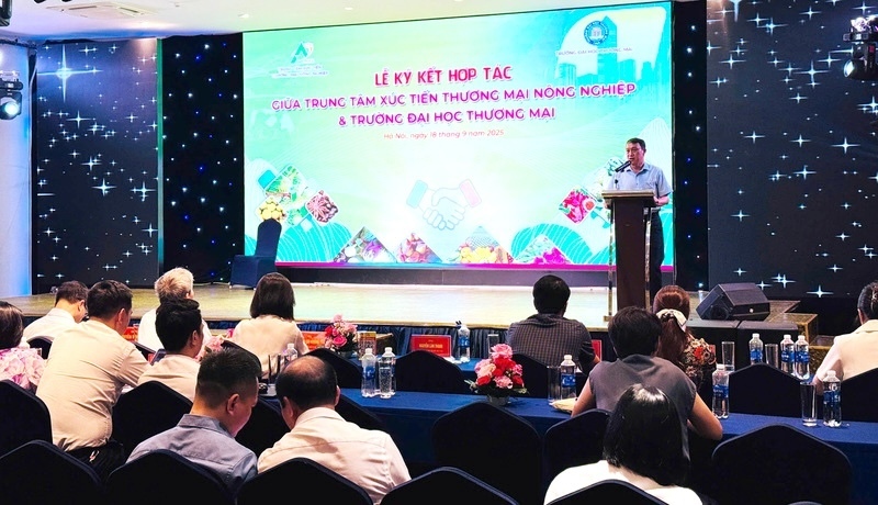 Overview of the forum.