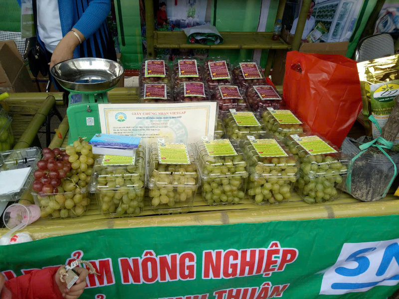 The grape product of the Xuan Hai Service and Business Cooperative.