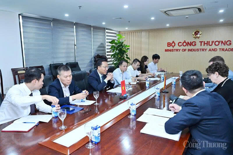 Vietnam, Germany address challenges to boost energy cooperation - 4