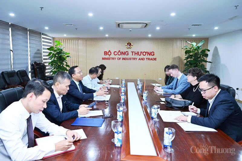 Overview of the working session between Deputy Minister Nguyen Hoang Long and the Ambassador of the Federal Republic of Germany to Vietnam.