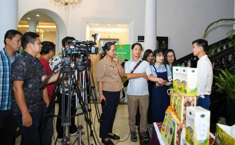 Through trade promotion activities and communication work, many OCOP products have reached the international market.