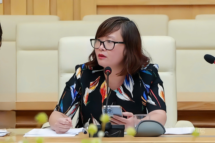 A representative from the General Department of Taxation under the Ministry of Finance shares insights during the session.