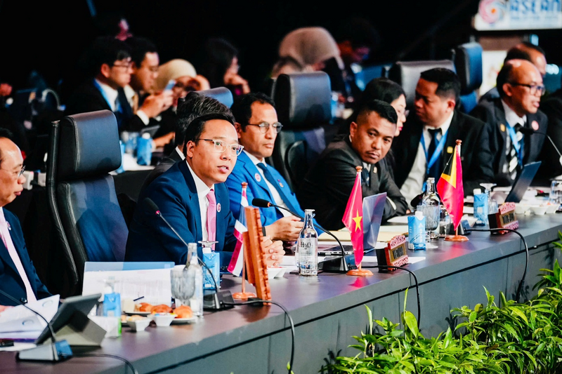 Deputy Minister Nguyen Hoang Long delivers remarks at the conference.