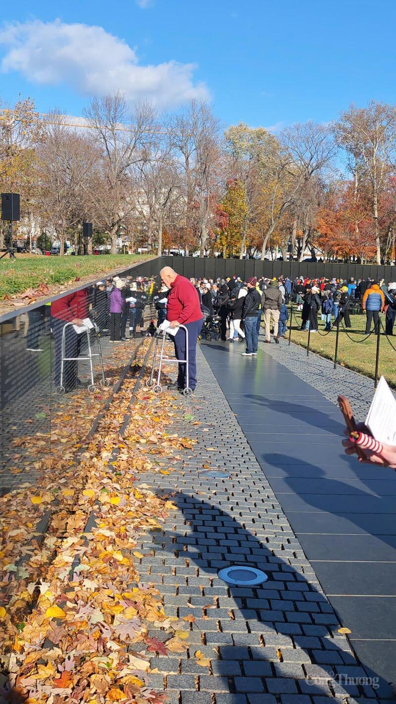 Golden autumn leaves carpet the paths beneath the footsteps of aging veterans.