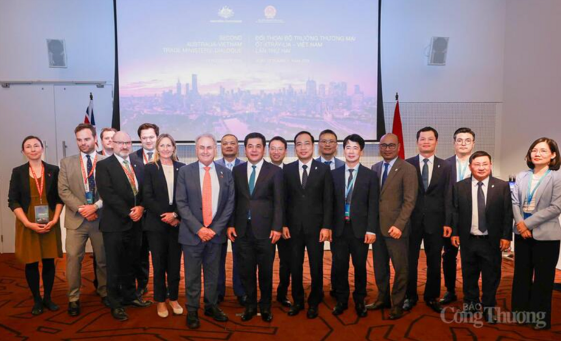 The ministers discuss priority initiatives under the Comprehensive Strategic Partnership to promote trade and investment in sectors vital to future industries. Photo: Nguyen Minh