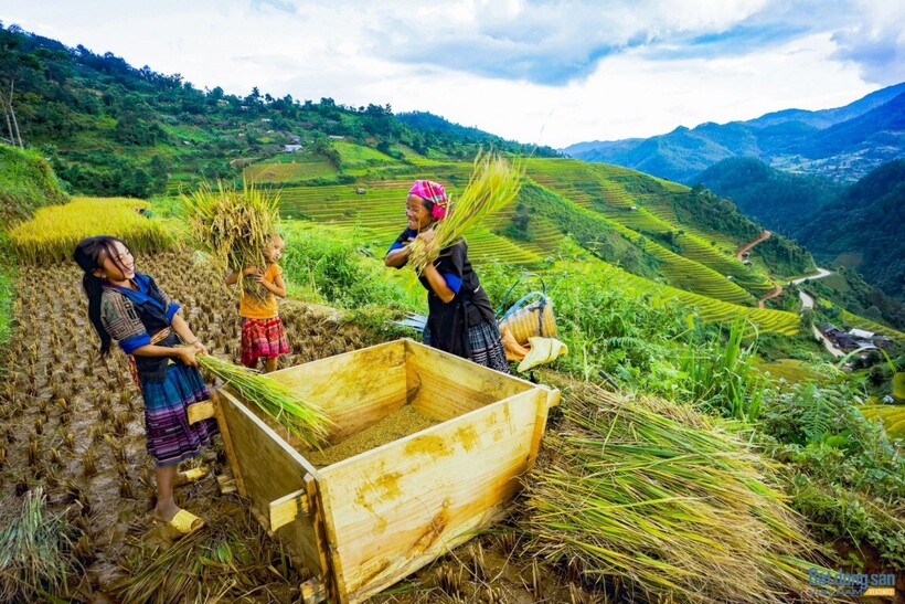 Value-chain linkage is a mandatory requirement.