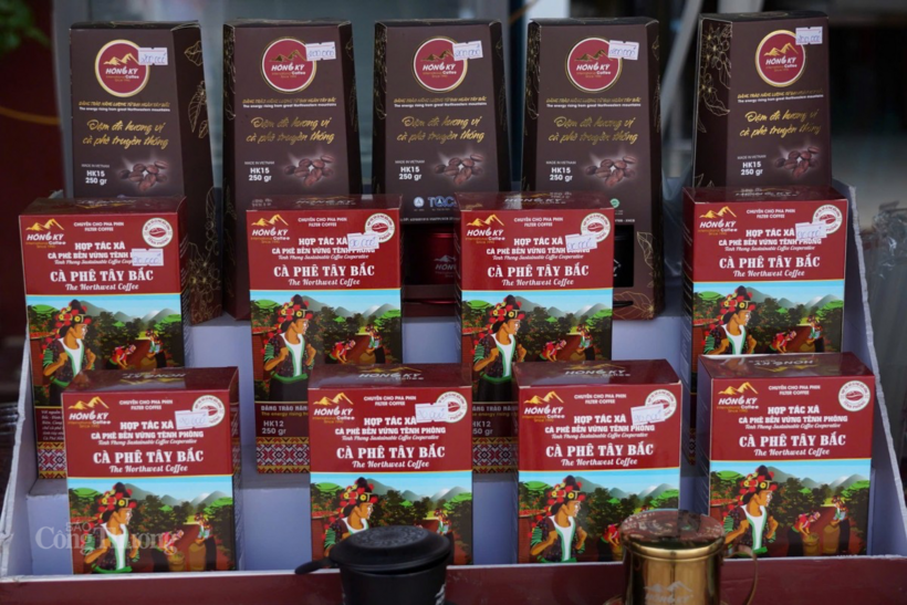 Dien Bien aims to improve the quality of its coffee-growing areas.