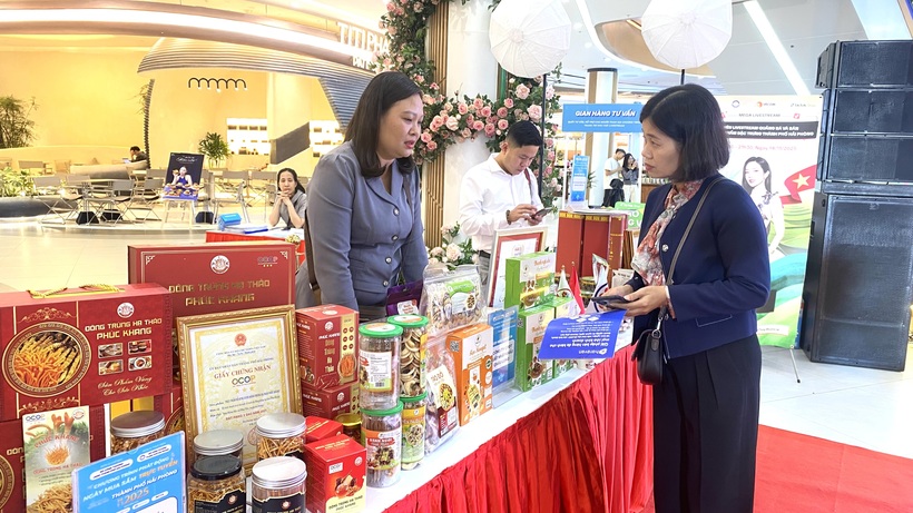 Hai Phong city intensifies efforts against smuggling, counterfeit goods, and intellectual property violations during the peak year-end period of 2025.