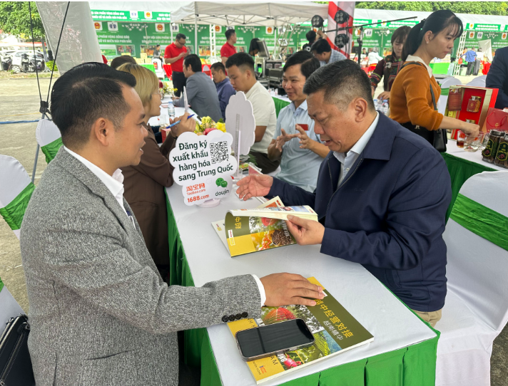 The Ministry of Industry and Trade supports localities in building sustainable supply-demand linkages for highland products. Photo: Quyen Luu