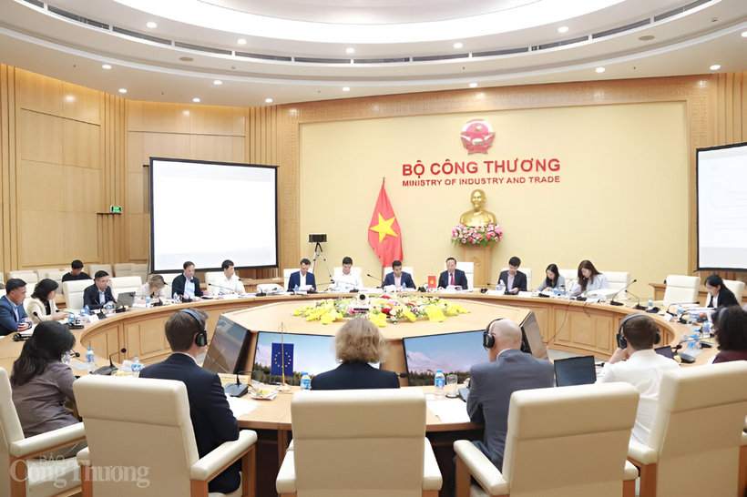 Deputy Minister of Industry and Trade Nguyen Hoang Long and European Union Ambassador to Vietnam Julien Guerrier co-chaired the meeting. Photo: Thanh Tuan