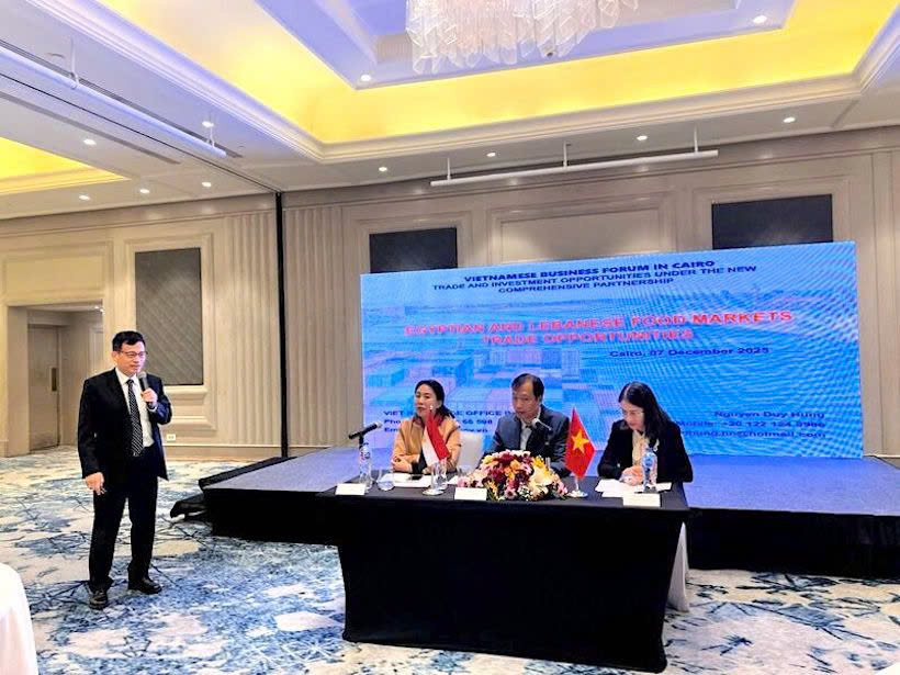 Vietnam Trade Office representatives brief the delegation on food-market insights for Egypt and Lebanon.