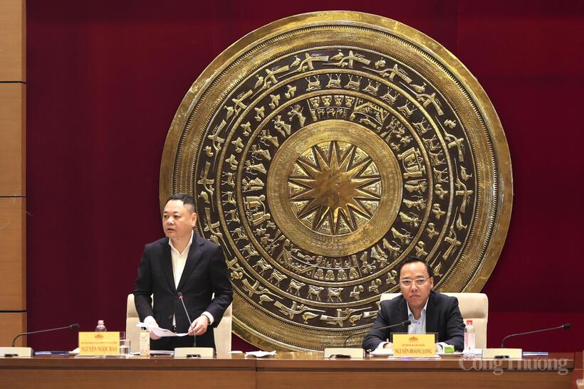 Deputy Chairman Nguyen Ngoc Bao and Deputy Minister Nguyen Hoang Long co-chair the conference. Photo: Quynh Trang