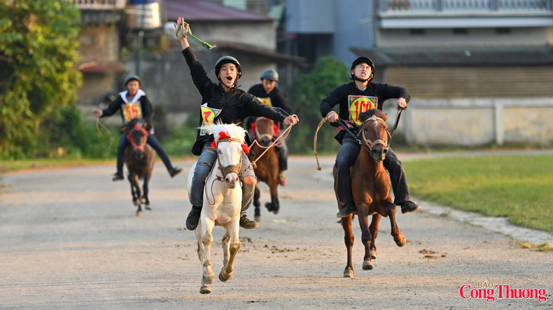 Bui Minh Hai, Chairman of the People’s Committee of Bac Ha commune, says maintaining the traditional Bac Ha horse racing festival is one of the locality’s efforts to honour the fine cultural values of ethnic minorities in the highlands, while celebrating the unique and deep bond between local people and an animal that is closely intertwined with their daily life and spiritual world. Photo: Nam Nguyen