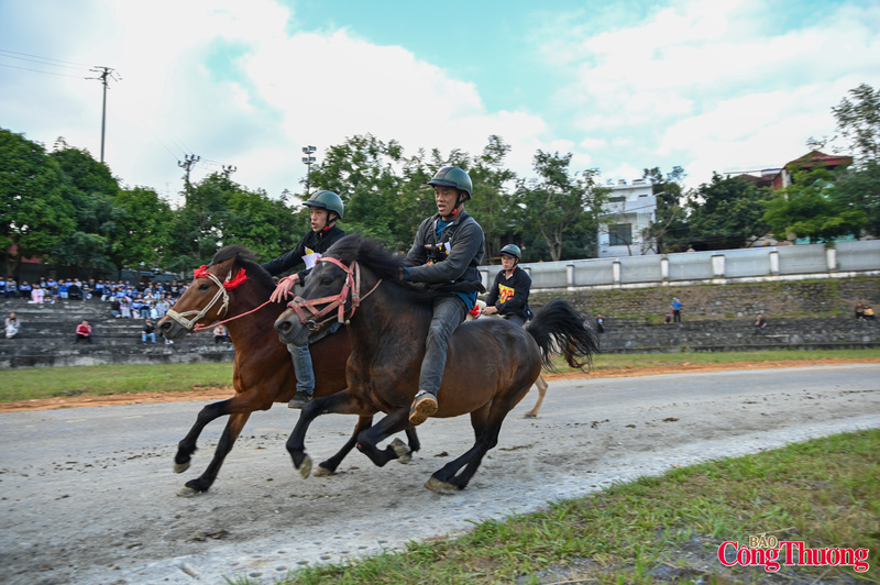 Perhaps nowhere else offers a horse race that is as thrilling, raw and pure as this one. Photo: Nam Nguyen