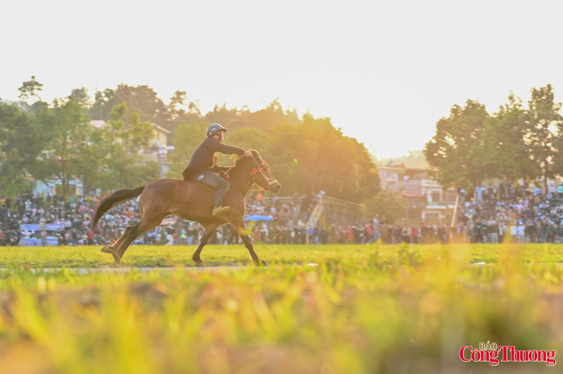 For those born and raised on the White Plateau of Bac Ha in Lao Cai, the familiar clatter of horse carts echoing along winding hill roads, especially at dawn, under the midday sun or in the soft glow of dusk, seems deeply ingrained in their memory. Photo: Nam Nguyen