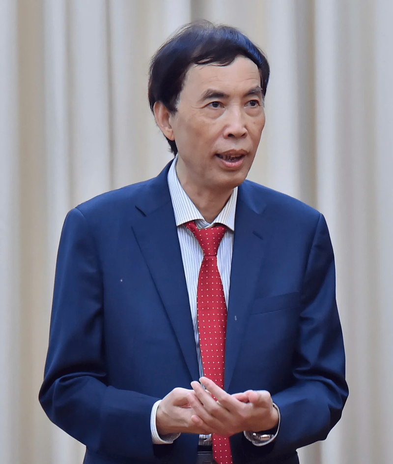 Vo Tri Thanh, Director of the Institute for Brand and Competitiveness Strategy.