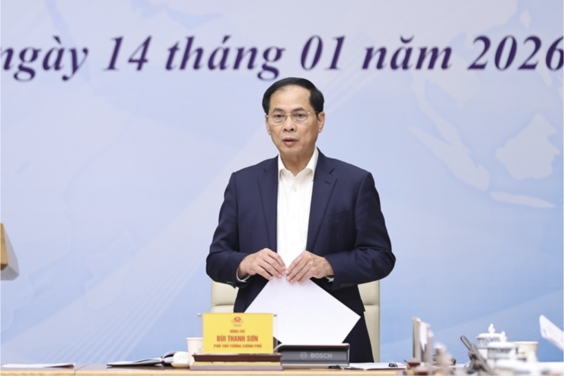 Deputy Prime Minister Bui Thanh Son delivers remarks. Photo: VGP