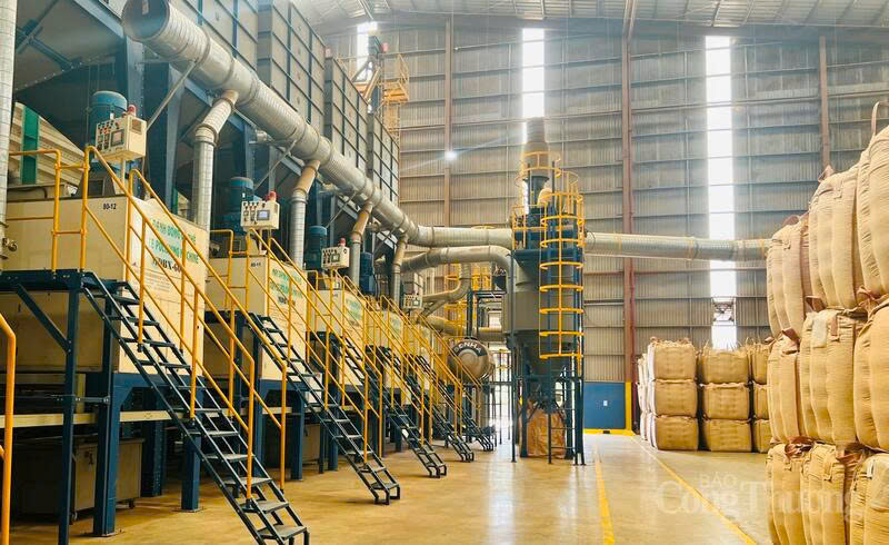 Coffee processing plant of Vinh Hiep Co., Ltd. Photo: Hien Mai