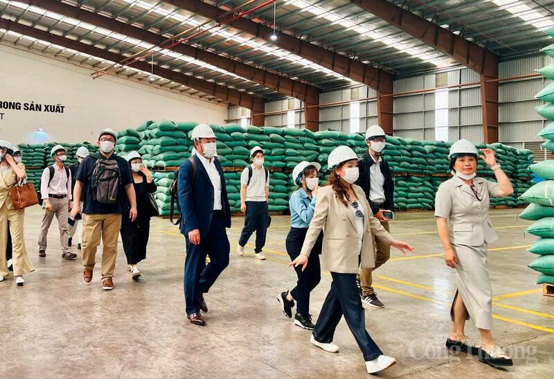 Japanese enterprises visit Vinh Hiep Co., Ltd. Photo: Hien Mai
