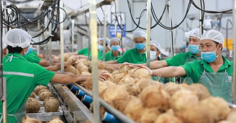 Vietnamese businesses advised to strengthen quality management for exports. Photo: Minh An