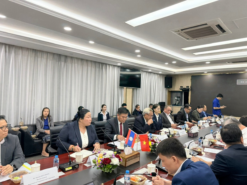 Lao Deputy Minister of Industry and Commerce Chansaveng Bounyong agrees on various solutions to bolster energy cooperation between Vietnam and Laos.