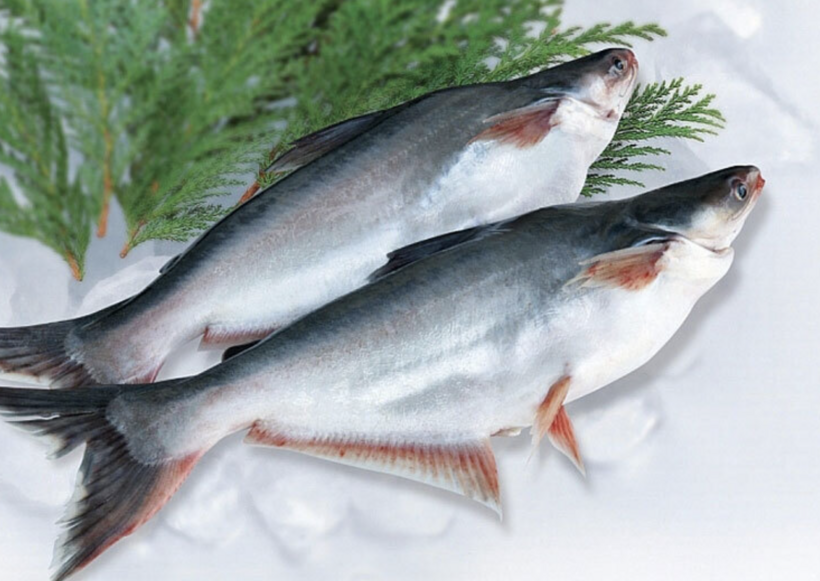 Pangasius exports are expected to maintain their growth momentum in 2026