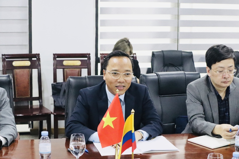 Deputy Minister Nguyen Hoang Long at the meeting.