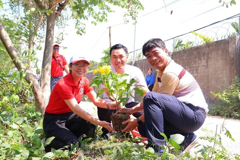Employees of Dong Thap Power Company also planted trees in response to the Earth Hour 2026 campaign.