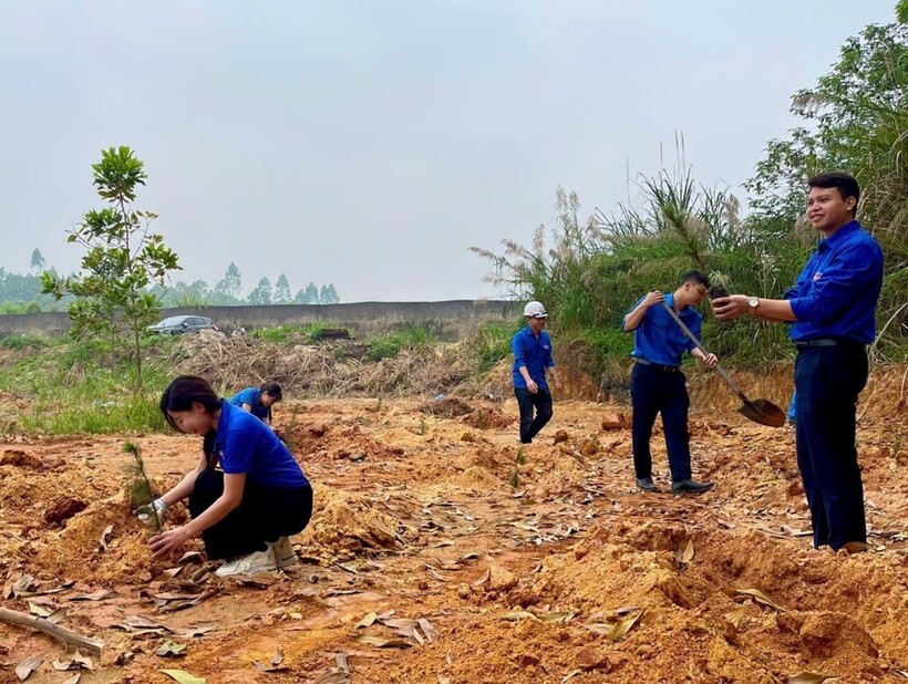 MoIT youth members participate in tree planting activities in response to the “Joining hands for a green environment” program, helping promote green lifestyles and reduce plastic waste. Photo: the MoIT Youth Union