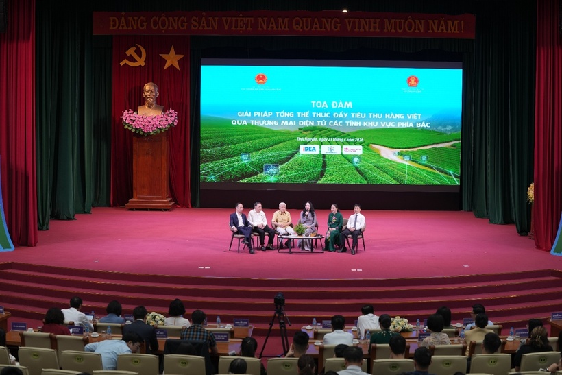 Le Hoang Oanh, Director of the Vietnam e-commerce and digital economy agency moderates the seminar.