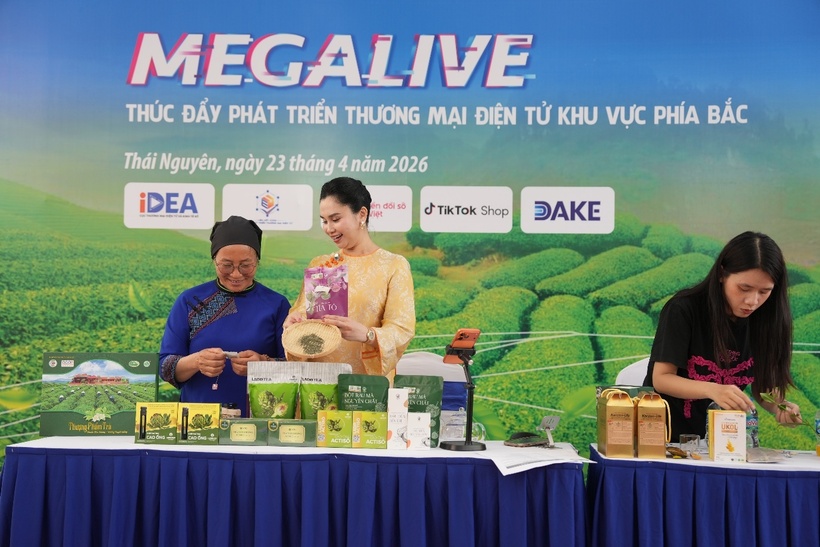 A livestream session within the programme.