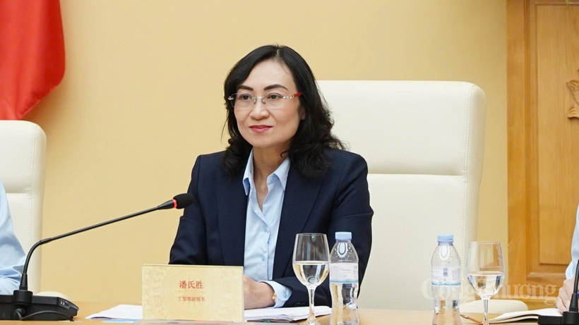 Deputy Minister Phan Thi Thang at the working session.