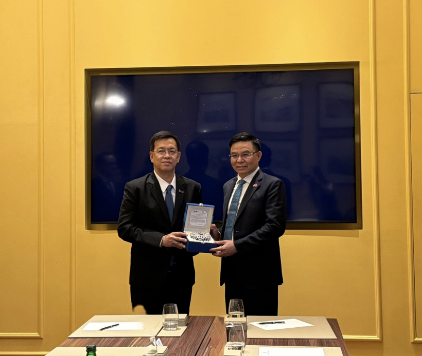 Vietnam, Thailand strengthen trade and energy cooperation - 5