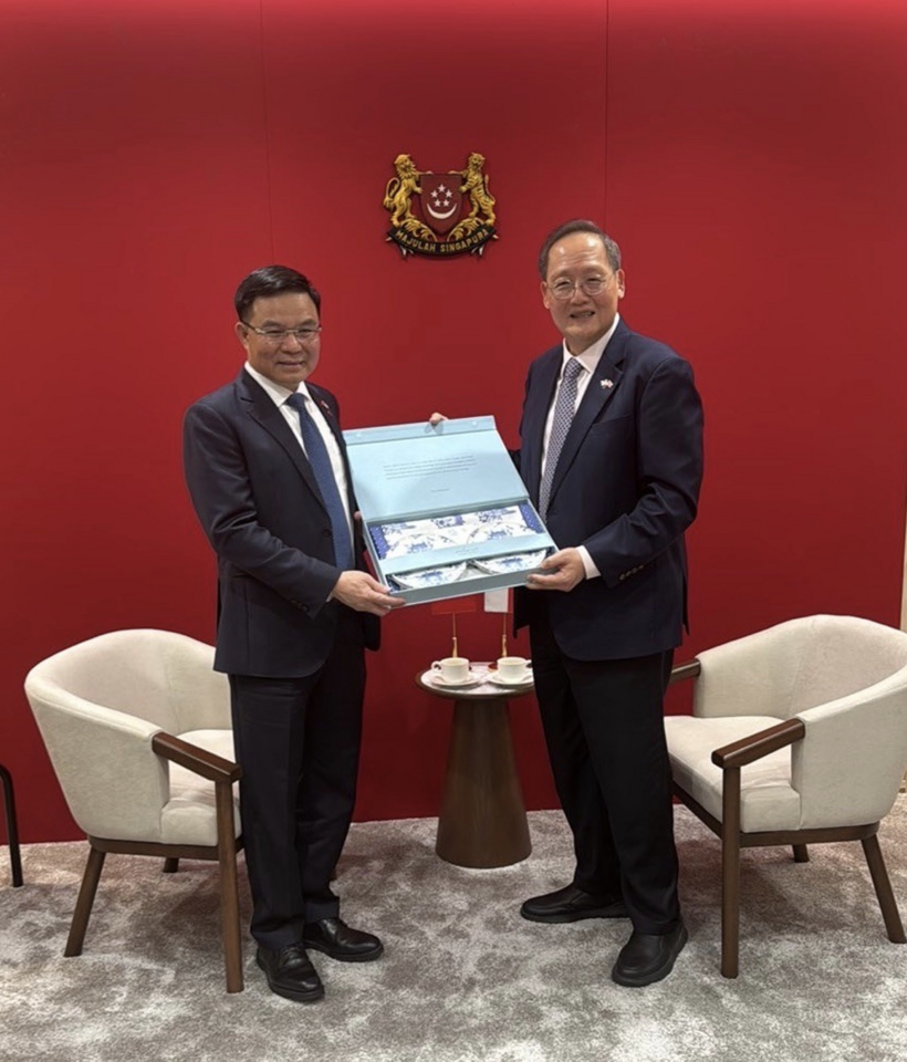 Vietnam - Singapore deepen energy, supply chain ties during high-level visit - 6