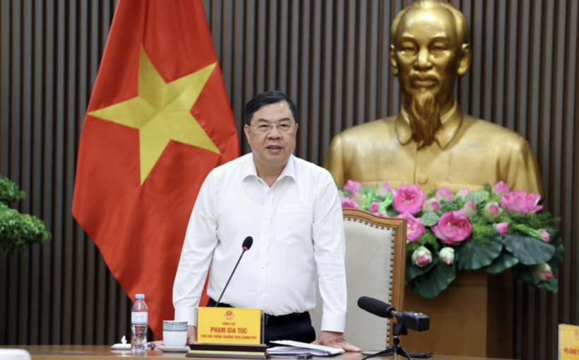 Permanent Deputy Prime Minister Pham Gia Tuc calls for ensuring fuel supply, quality and consumer rights during the transition to E10 gasoline. Photo: VGP