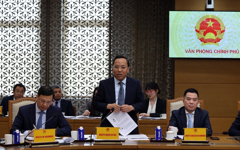 Deputy Minister of Industry and Trade Nguyen Hoang Long delivers remarks at the working session