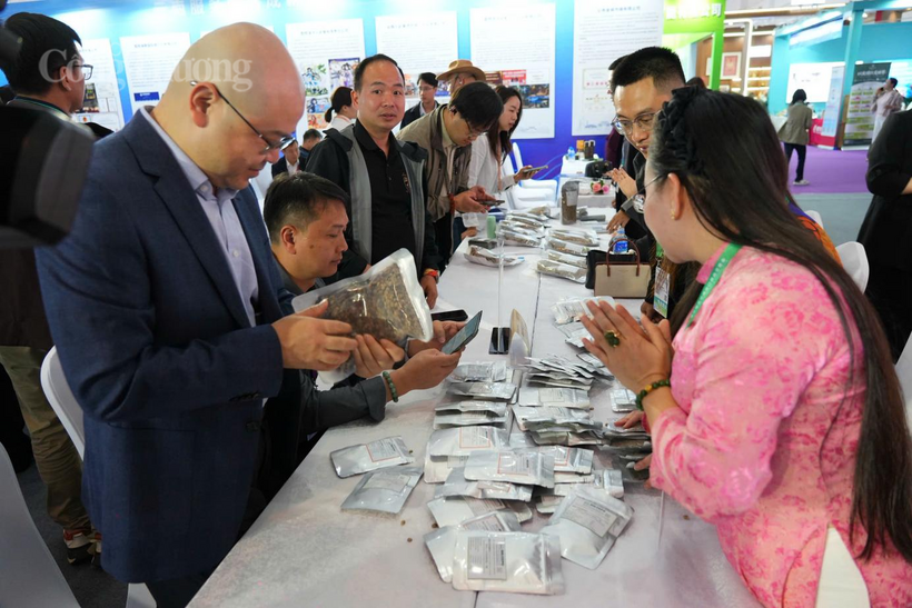 Business representatives from Vietnam and China engage in direct discussions and explore cooperation opportunities in the specialized business matching area. Photo: Vietnam Trade Promotion Agency