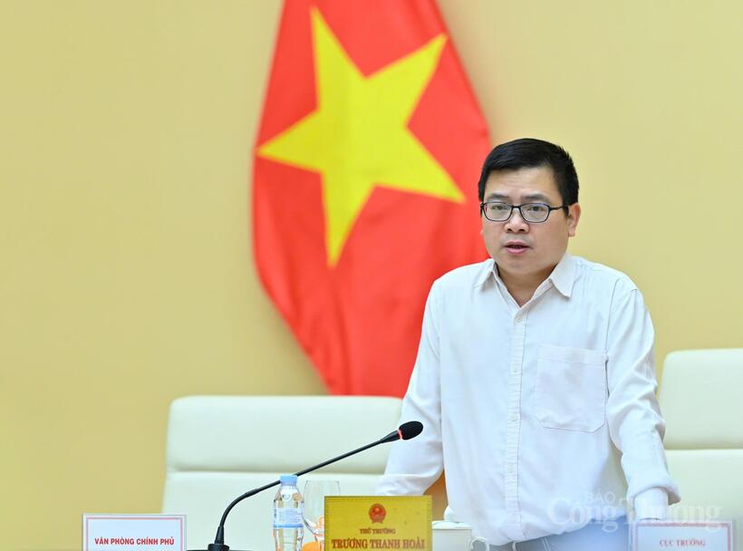Deputy Minister of Industry and Trade Truong Thanh Hoai addresses the meeting. Photo: Nam Nguyen